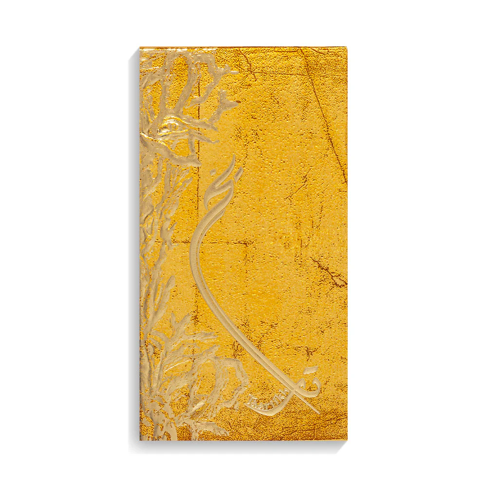 صورة مصغرة 2